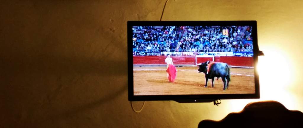 wp-1447634592197 image